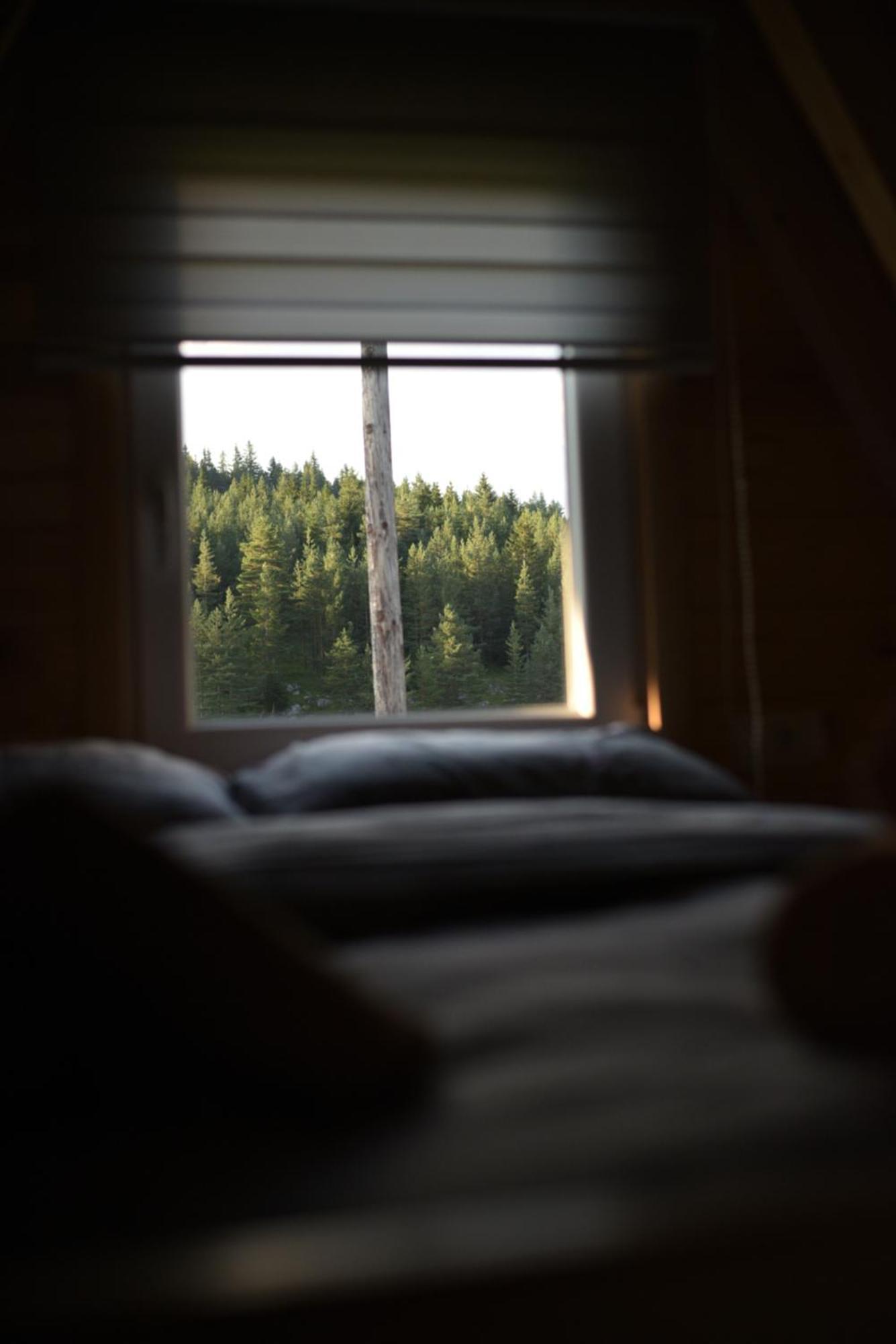 Mountain Paradise Cabins Žabljak Eksteriør bilde